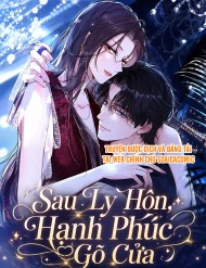 Sau Ly Hôn, Hạnh Phúc Gõ Cửa đọc online